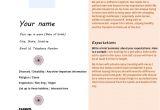 Marriage Resume format for Girl In Word Download Marriage Biodata format for Download