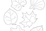 Martha Stewart Leaf Template Leaf Template Martha Stewart Invitation Template