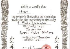 Martial Arts Gift Certificate Template Karate Certificate Template Mangdienthoai Com