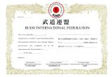 Martial Arts Gift Certificate Template Template Karate Certificate Template