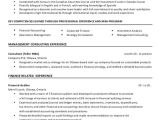 Mba Finance Experience Resume Samples 25 Finance Resumes In Pdf Free Premium Templates