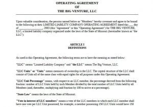 Members Resolution Template 30 Professional Llc Operating Agreement Templates