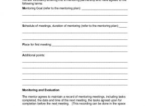 Mentor Contract Template Peach Mentorshipprogramcomplete