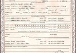 Mexican Birth Certificate Template 25 Best Ideas About Fake Birth Certificate On Pinterest
