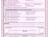 Mexican Birth Certificate Template Best Photos Of Mexico Birth Certificate Template Mexican
