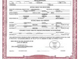 Mexican Birth Certificate Template Birth Certificate Translation Template Mexico Templates