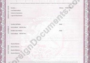 Mexican Birth Certificate Template Certified Spanish Translation Mexican Birth Certificate