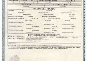Mexican Death Certificate Template Death Certificate Acta America