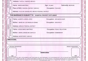 Mexican Marriage Certificate Translation Template Pdf Best Photos Of Mexico Birth Certificate Template Mexican