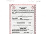 Mexican Marriage Certificate Translation Template Pdf Certificate Template 45 Free Printable Word Excel Pdf