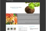 Microsoft Expressions Templates Free Green Business Web Site Template Expression Web