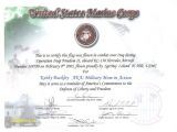 Military Flag Certificate Template Military Flag Certificate Template Us Navy Retirement