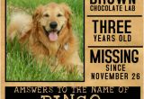 Missing Animal Flyer Template Customize 510 Pets Flyer Templates Postermywall