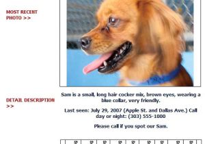 Missing Animal Flyer Template Lost and Found Dog Flyer Humane society Of Broward