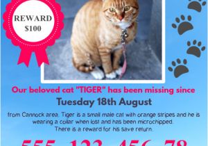 Missing Animal Flyer Template Lost Pet Flyer Template with Tabs Postermywall