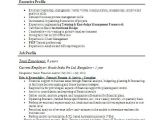 Model Job Application Resume Job Resume Models Free Download