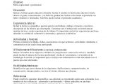 Modelo De Resumen Profesional Modelo De Resume En Espanol