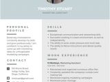 Modern Professional Resume Customize 1 078 Resume Templates Online Canva