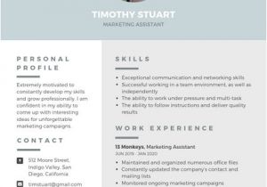 Modern Professional Resume Customize 1 078 Resume Templates Online Canva