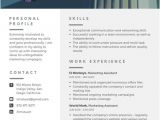 Modern Professional Resume Customize 1 079 Resume Templates Online Canva