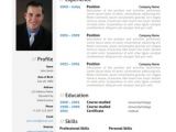 Modern Professional Resume Modern Resume Template Trendy Resumes