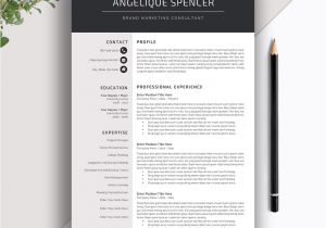 Modern Professional Resume Modern Resume Template World Of Reference