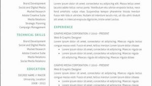 Modern Professional Resume Template Modern Professional Resume Templates Free Samples