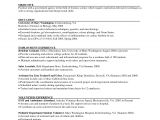 Most Basic Resume Example Reverse Chronological Resume Template Resume