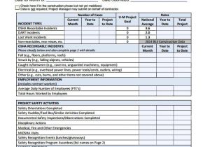 Ms Project 2013 Report Templates Ms Project 2013 Report Templates Ms Project Sample