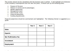 Ms Word Business Plan Template Business Plan Templates 43 Examples In Word Free