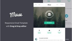 Muse Email Templates Muse Responsive Email Builder Email Templates On