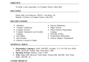 Nail Technician Contract Template Avn Resume