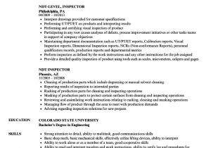 Ndt Level 2 Fresher Sample Resume Ndt Resume format Resume format Example