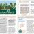 Neighborhood Newsletter Template 13 Free Newsletter Templates You Can Print or Email as Pdf