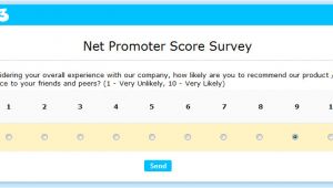 Net Promoter Score Survey Template Using the Net Promoter Score to Get Valuable Feedback