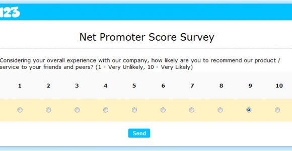 Net Promoter Score Survey Template Using the Net Promoter Score to Get Valuable Feedback