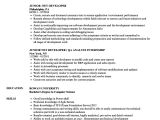 Net Resume Sample Junior Net Developer Resume Samples Velvet Jobs