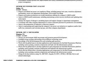 Net Resume Sample Senior Net Resume Samples Velvet Jobs