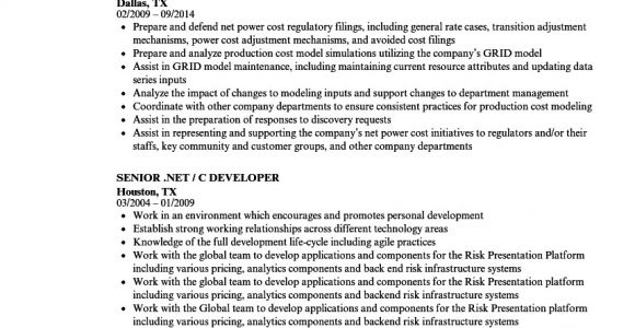 Net Resume Sample Senior Net Resume Samples Velvet Jobs