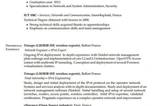 Network Engineer Resume Pdf Free 5 Sample Network Engineer Resume Templates In Pdf
