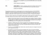 Network Maintenance Contract Template Agreement with Provider Of Network Services Template