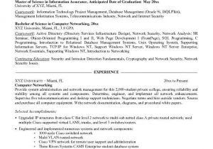 Networking Basic Resume Example Resume Basic Computer Skills It Can Describe About