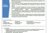 Networking Resume Word format top 5 Network Security Engineer Resume Samples In Word