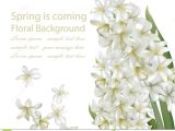 New Baby Flower Card Message Hyacinth White Flower Bouquet isolated Background Vector