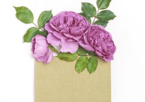 New Baby Flower Card Message Image Page 90749 with Images Wedding Card Messages
