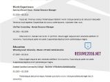 New Resume format Word 2017 Resume format 2017 20 Free Word Templates
