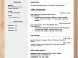 New Resume format Word File Cv Resume Templates Examples Doc Word Download