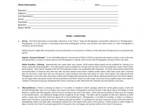Newborn Photography Contract Template 12 Photography Contract Examples Samples Pdf Doc