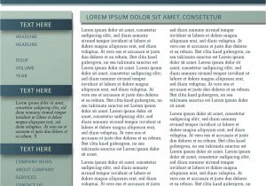 Newsleter Templates 9 Free Business Newsletters Templates