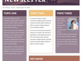 Newsleter Templates Free Printable Newsletter Templates Email Newsletter